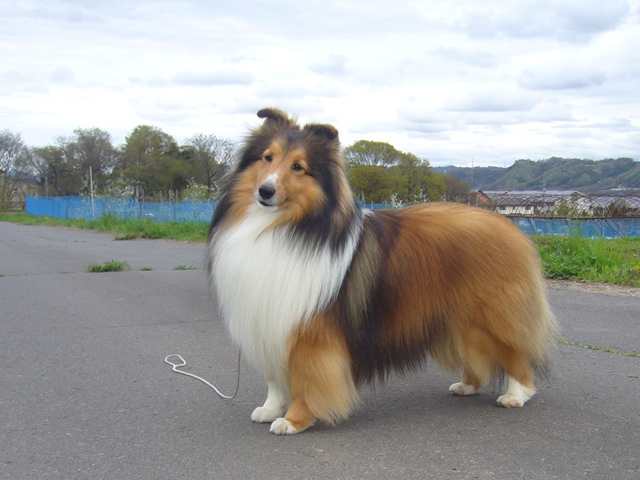 P1030141 - コピー.JPG