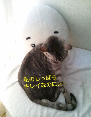 20120722_5.jpg