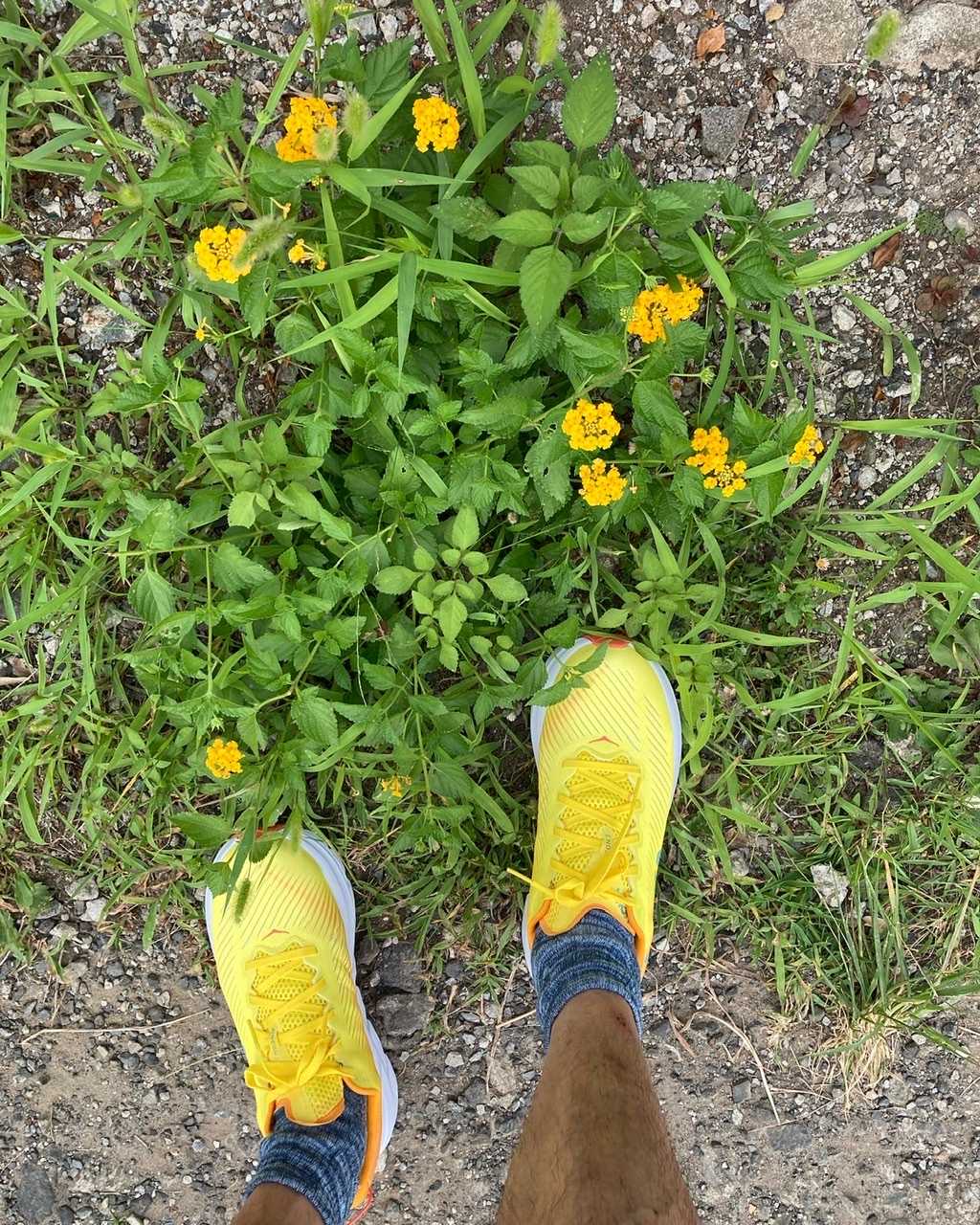 HOKA rincon3購入 | カスタードのときたまダイアリー - 楽天ブログ