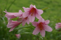 DSC08890.JPG