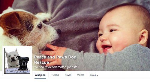 Peace_and_Paws_Dog_Rescue.jpg