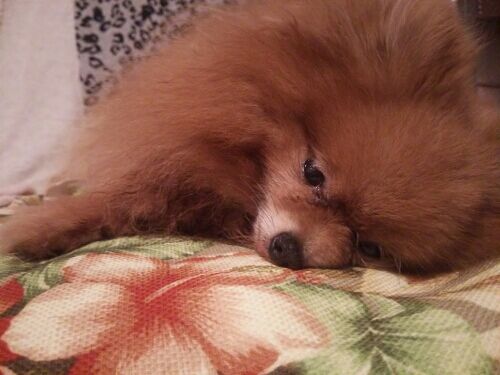rblog-20160420011630-01.jpg