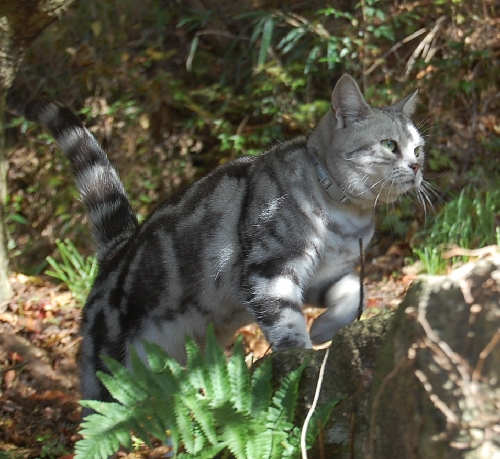 DSC_0382.JPG