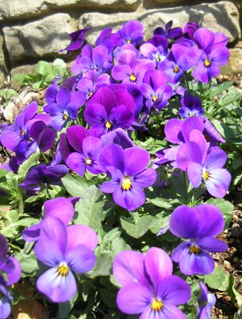 20120401-2.JPG