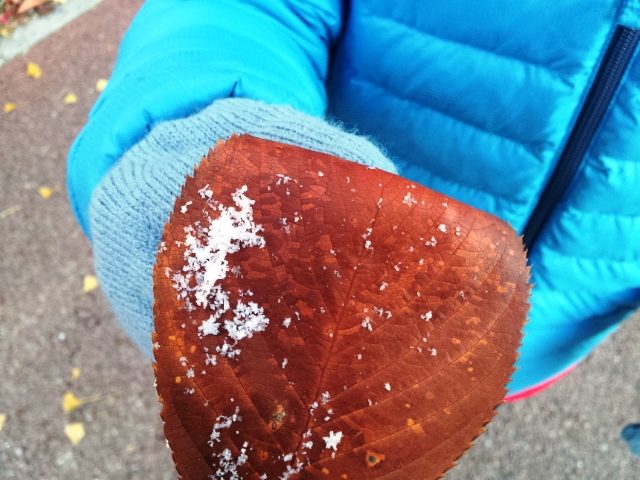 20141114 snow in seoul 001.jpg