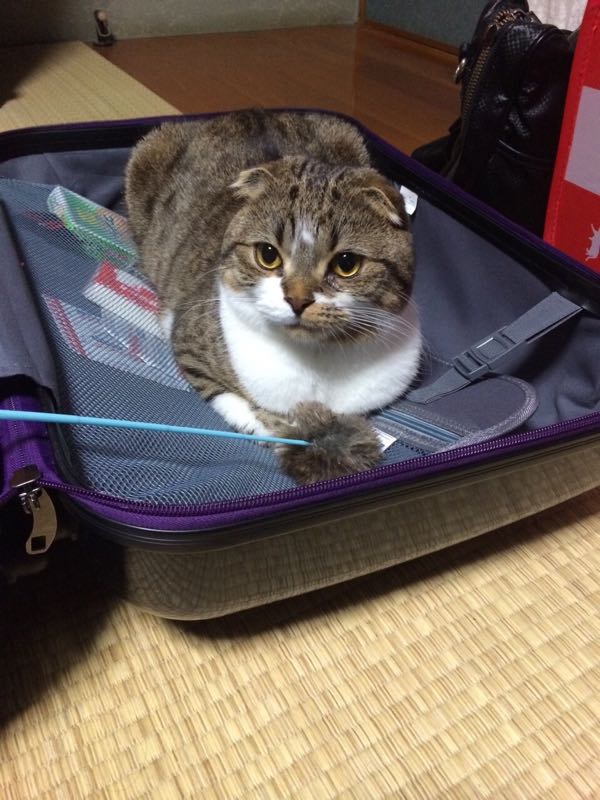 rblog-20151220162342-02.jpg