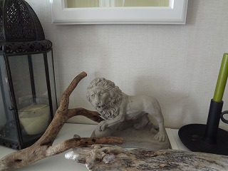 DSC06053.jpg