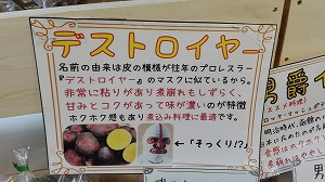 デストロイヤー
