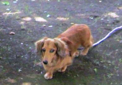 2012063009460000.jpg