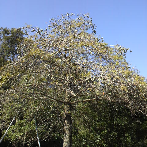 2013101308430000.jpg