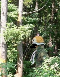 2012y03m31d_124406141.jpg