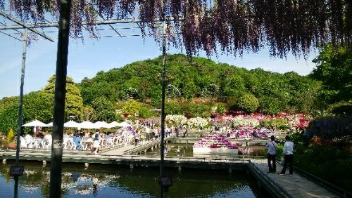 rblog-20180426215346-02.jpg