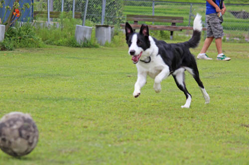 run-7