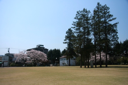 桜　山代温泉ホテル百万石