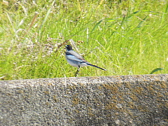 conv0025.JPG