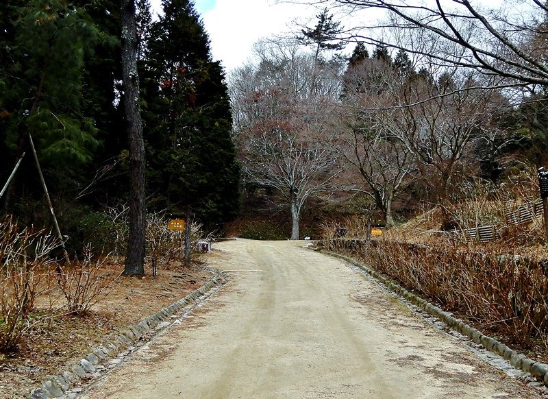 あじさい坂6