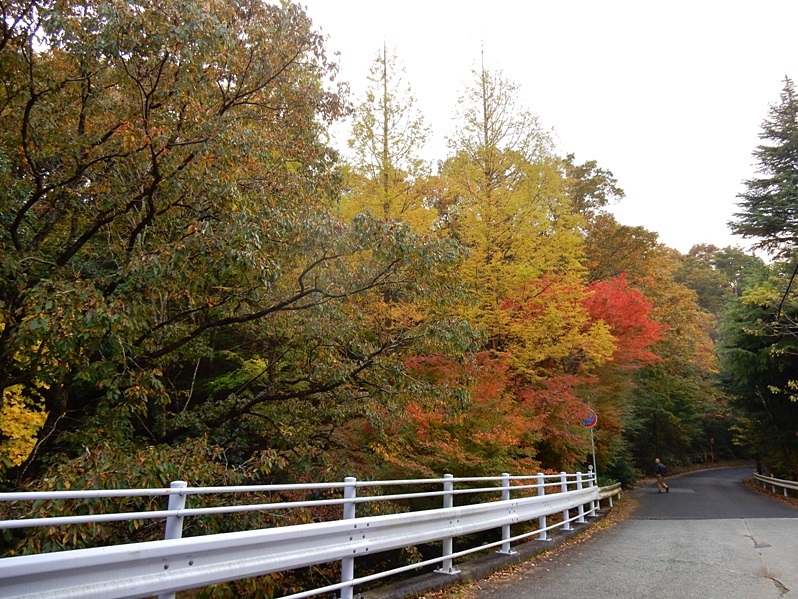 洞川湖畔の紅葉10.JPG