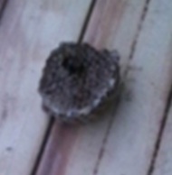 20120721_4.jpg