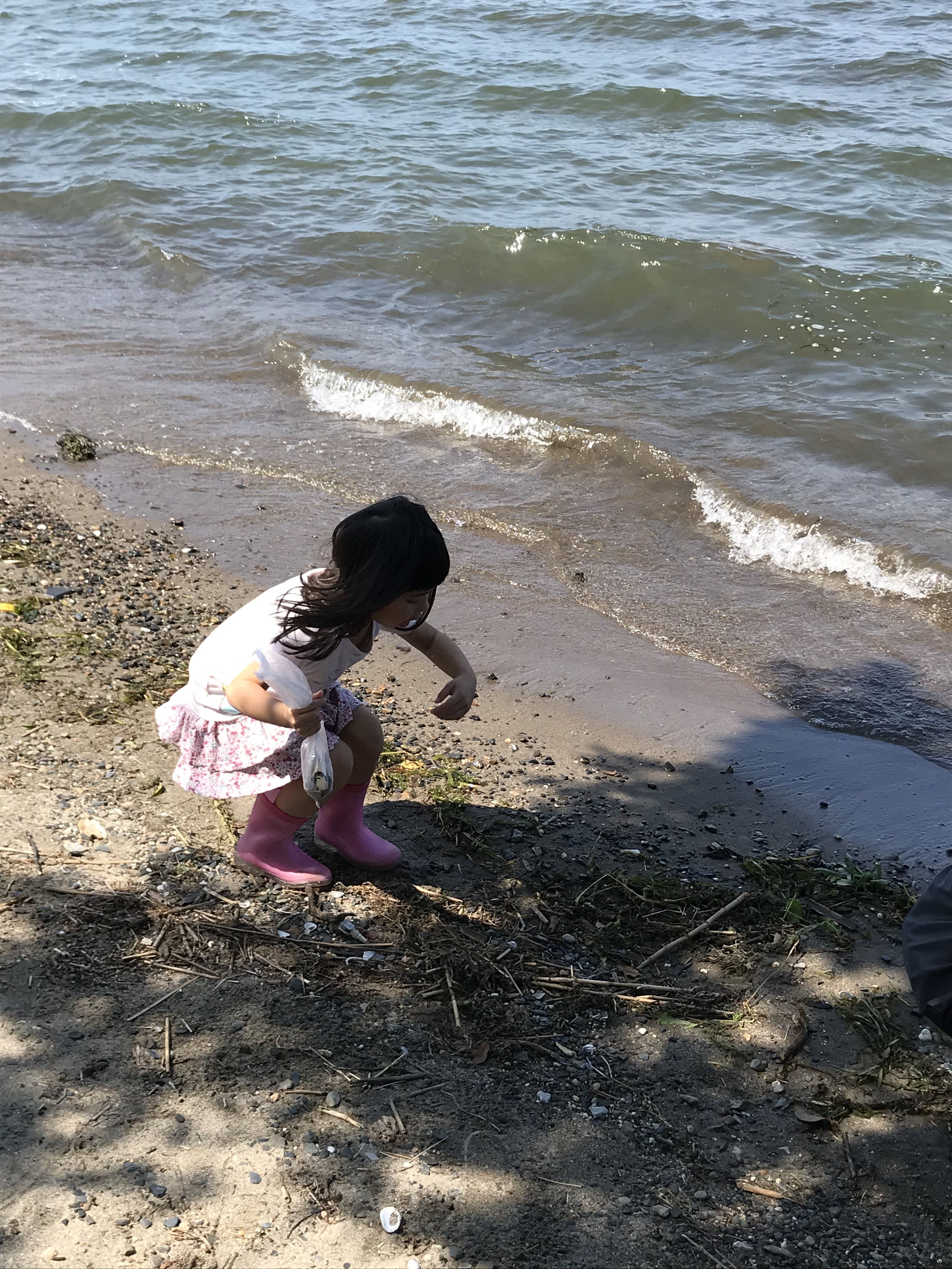 琵琶湖でゴミ拾い 貝殻 吉田屋の園芸ブログ 楽天ブログ