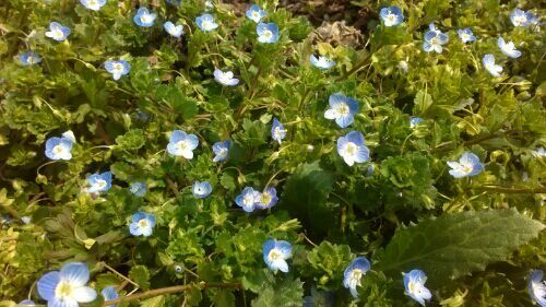 rblog-20170305130550-00.jpg