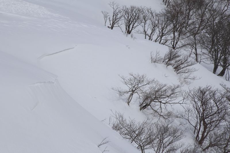 打見山_003.jpg
