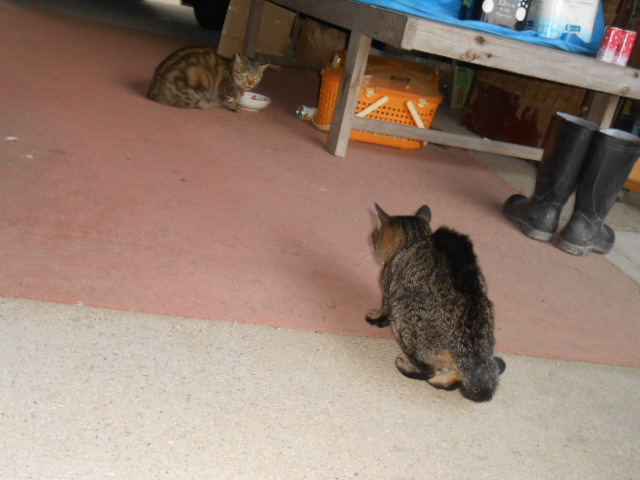 DSCN0744.JPG