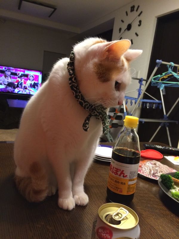 rblog-20141210062546-02.jpg