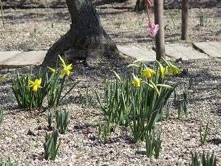 IMG_6871ss.jpg
