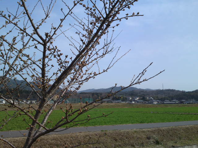 2012-04-02 07:59:19