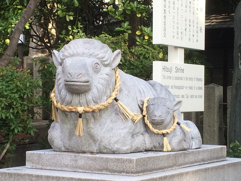羊