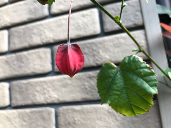 rblog-20180408162246-01.jpg