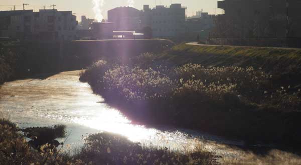 20141218川霧.jpg