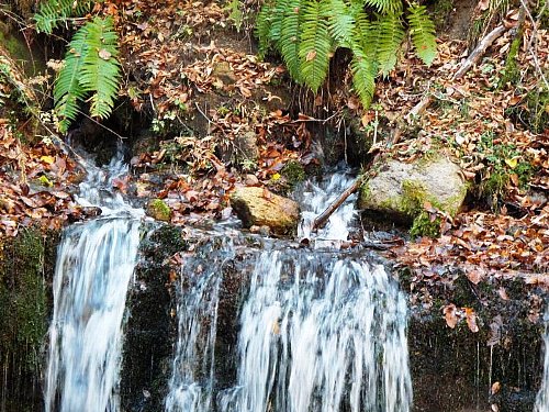 10-29 siraitonotaki-110-b.jpg