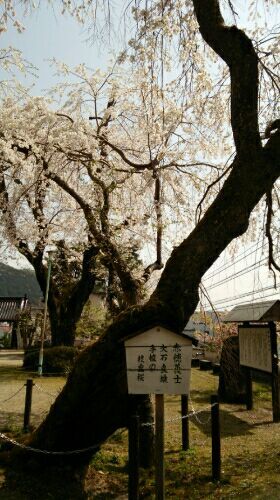 rblog-20180403162943-03.jpg