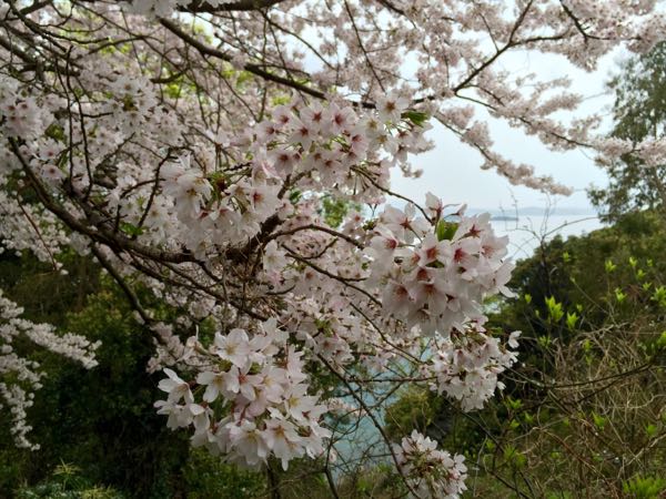rblog-20160406174853-01.jpg