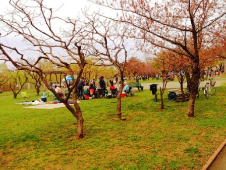 2013花見散歩1.jpg