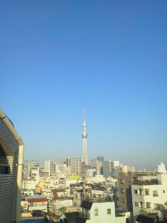 201301250804001.jpg