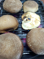 rblog-20130928140014-01.png