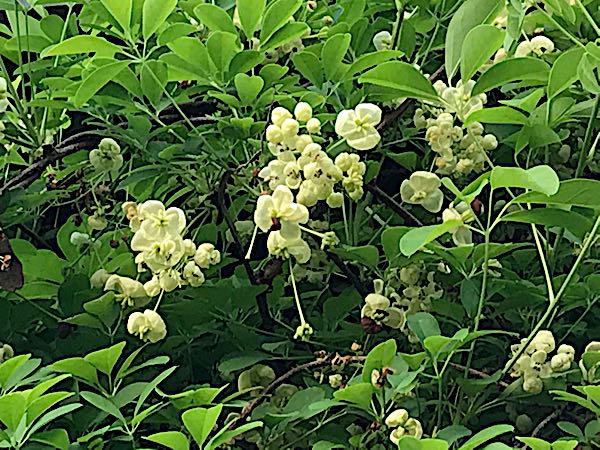 rblog-20180408182003-04.jpg