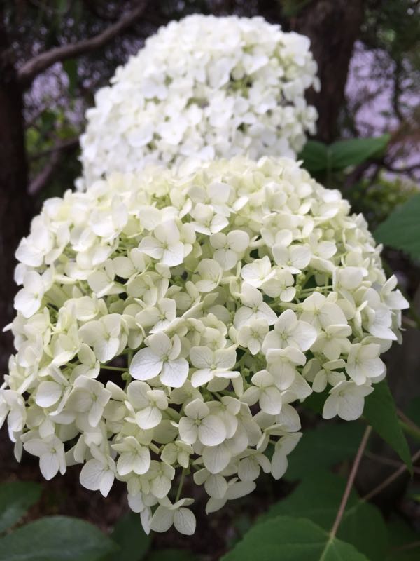 rblog-20160609235227-03.jpg
