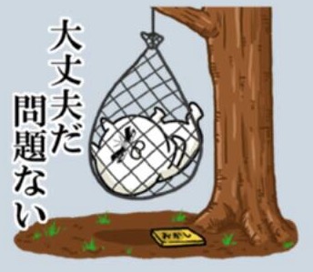 image.jpeg