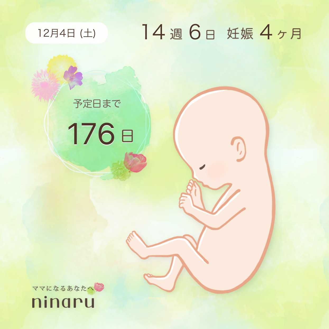 14週6日 ようこそ我が家へ 楽天ブログ