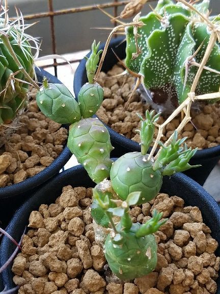 rblog-20180829112211-02.jpg