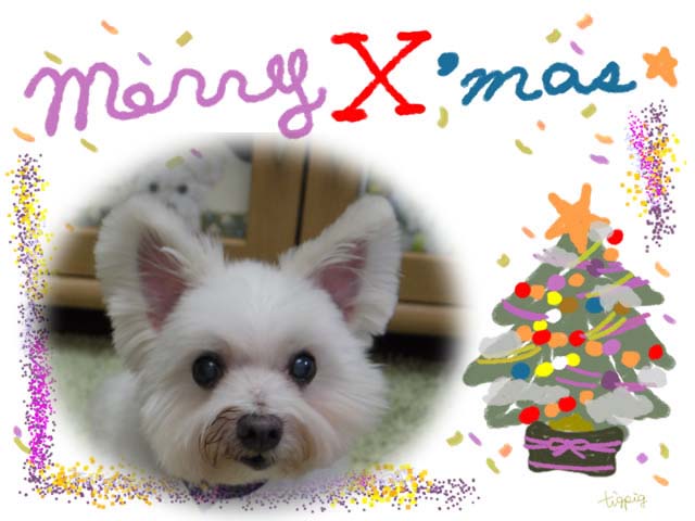 2012クリスマス_ラッキーパパさん