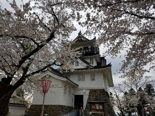 rblog-20180428002254-05.jpg