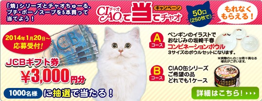 無題-24bitカラー-chao.jpg