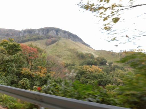 15.11.03紅葉９.JPG