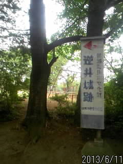 公園と看板