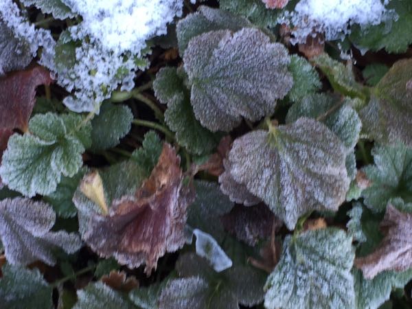 rblog-20170125094458-06.jpg