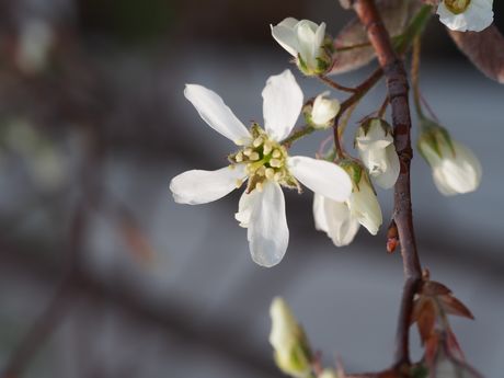 20140417-5